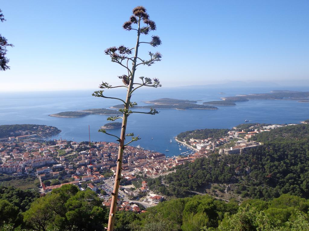 Ana Tudor Apartments Hvar Town Exterior photo